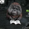 Maurice (Dawn of the Planet of the Apes)
