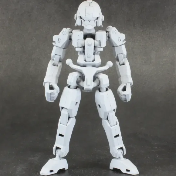 Pla Act Option Series: 06 Frame Unit