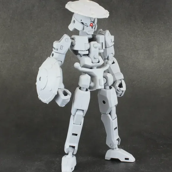 Pla Act Option Series: 06 Frame Unit