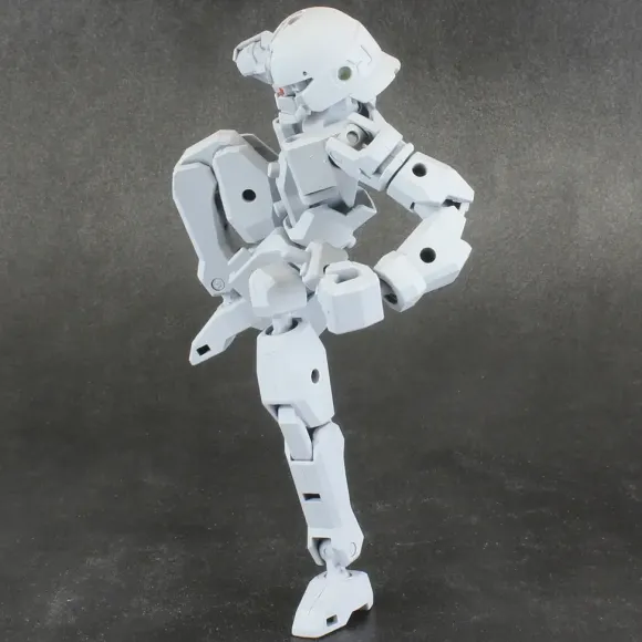 Pla Act Option Series: 06 Frame Unit
