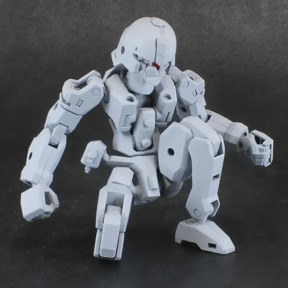 Pla Act Option Series: 06 Frame Unit