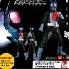 Project BM! 12 in. Figure Kamen Rider The First #1