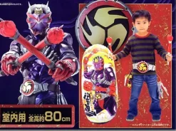 Punch Fighter Kamen Rider Hibiki