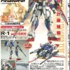 1/100 R-1