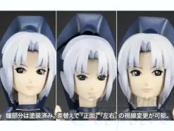 1/12 RAcaseal Shino Ver.APSY
