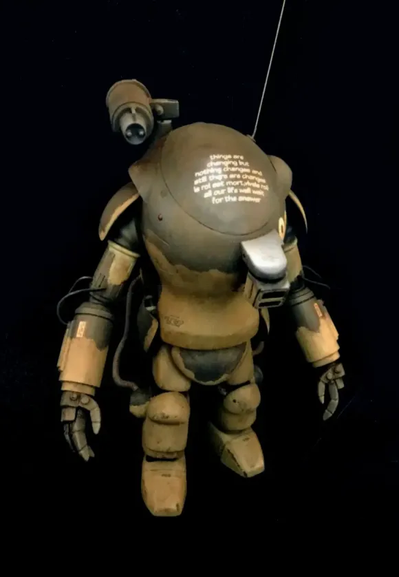 1/16 Raccoon Conversion Resin Kit (Sentinel)