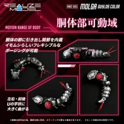 1/100 Realize Model Zoids RMZ-005 Molga Guylos Color