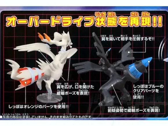 Reshiram & Zekrom Set