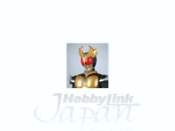 RH20 Kamen Rider Agito Grand Form