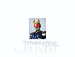 RH21 Kamen Rider Agito Storm Form