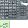 Round Mold 3