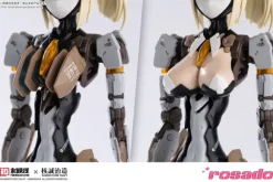 1/10 RS-03 Starflower Lily MK3 (rosado Project) (Reissue)