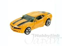 SB-04 Capture of Bumblebee
