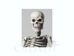 Sci-Fi Revoltech Skeletal Warrior