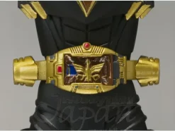 S.H. Figuarts Kamen Rider Odin & Gold Phoenix
