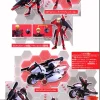 SP Bisar Set Amdriver Ragna Version