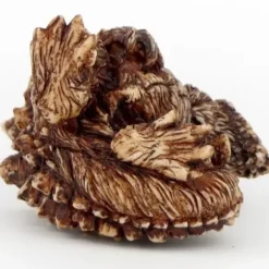 Toho Monster Netsuke Godzilla (2017)