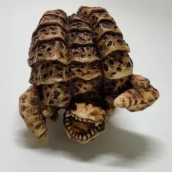 Ultra Monster Netsuke Mari Gatanothor
